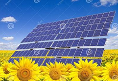 Solar Panels with Sunflowers (symbolic picture)